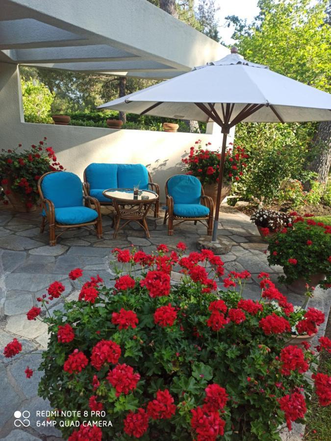 Sani Villa Maria Kültér fotó