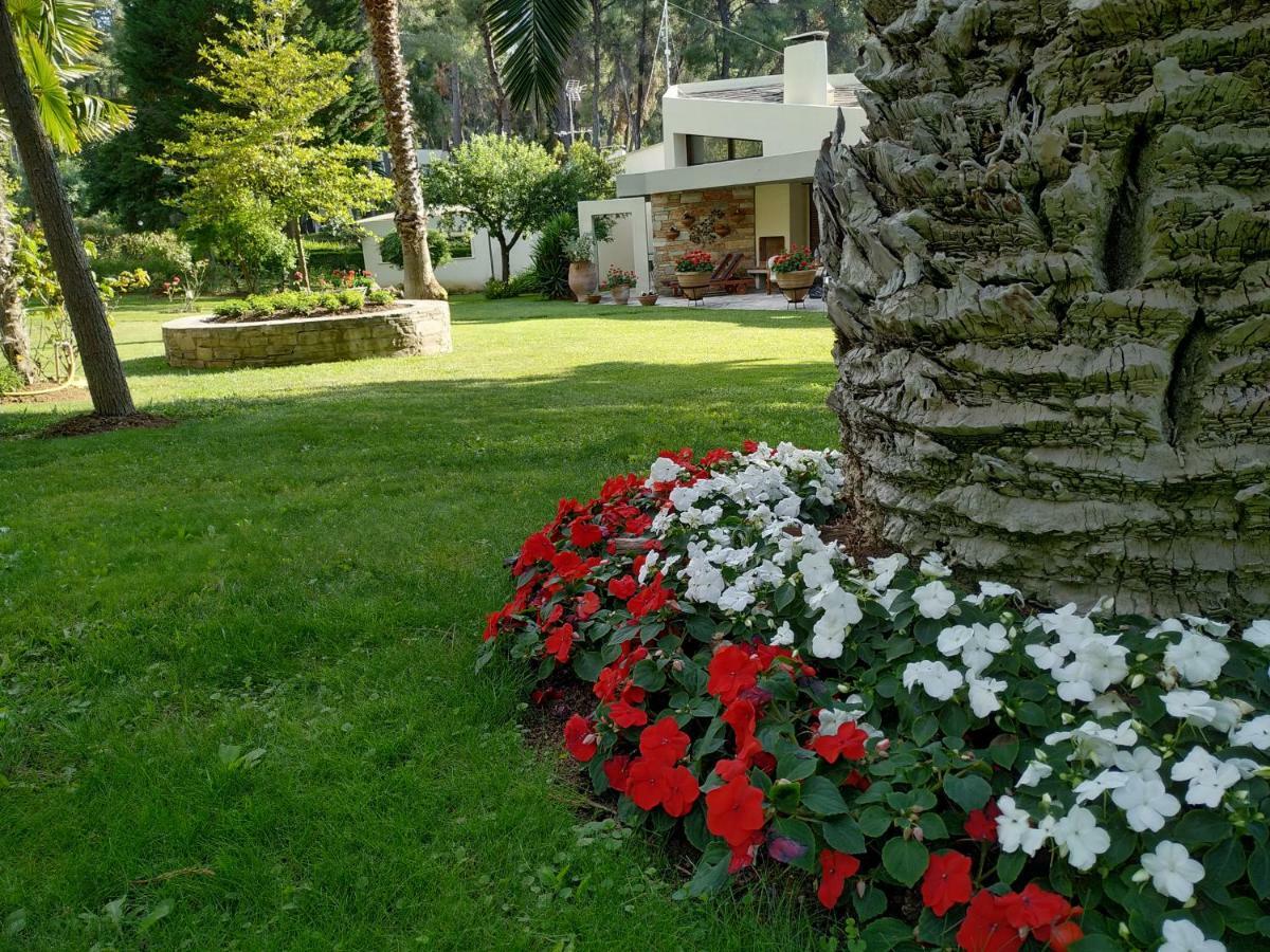 Sani Villa Maria Kültér fotó